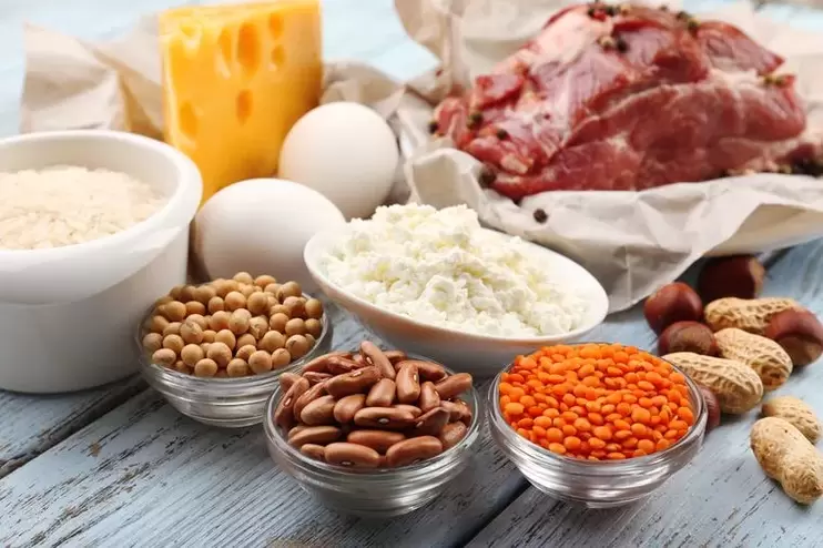 단백질 다이어트 용 제품